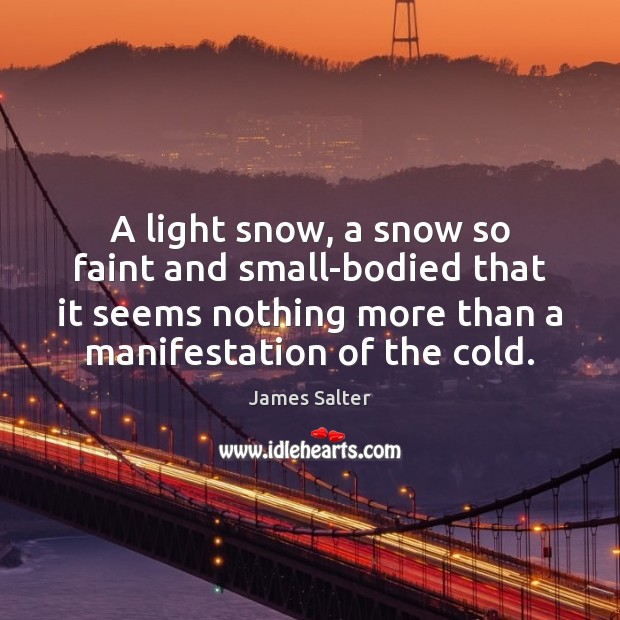 A light snow, a snow so faint and small-bodied that it seems James Salter Picture Quote