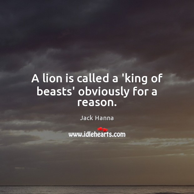 A lion is called a ‘king of beasts’ obviously for a reason. Jack Hanna Picture Quote