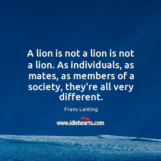 A lion is not a lion is not a lion. As individuals, Frans Lanting Picture Quote