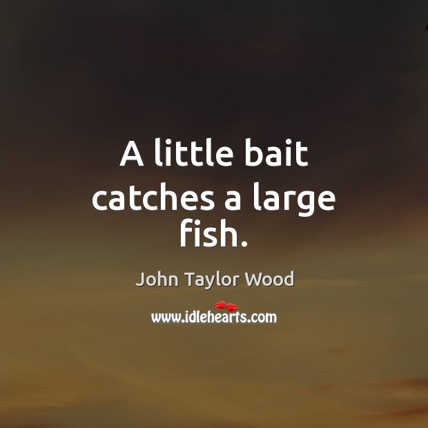 A little bait catches a large fish. John Taylor Wood Picture Quote