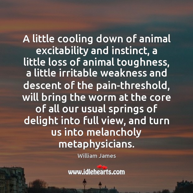 A little cooling down of animal excitability and instinct, a little loss William James Picture Quote