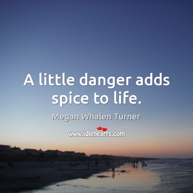 A little danger adds spice to life. Megan Whalen Turner Picture Quote