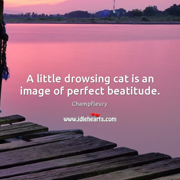 A little drowsing cat is an image of perfect beatitude. Champfleury Picture Quote