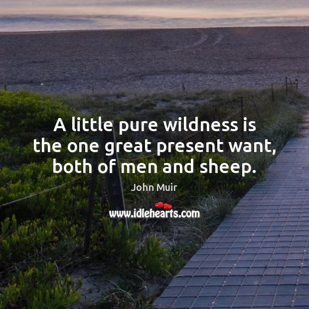 A little pure wildness is the one great present want, both of men and sheep. John Muir Picture Quote
