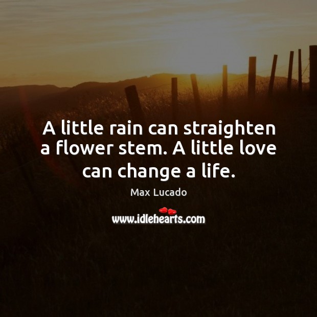 A little rain can straighten a flower stem. A little love can change a life. Max Lucado Picture Quote
