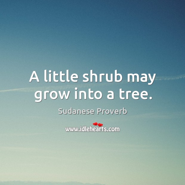 A little shrub may grow into a tree. Sudanese Proverbs Image