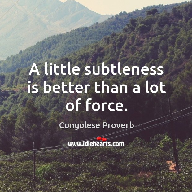 A little subtleness is better than a lot of force. Congolese Proverbs Image