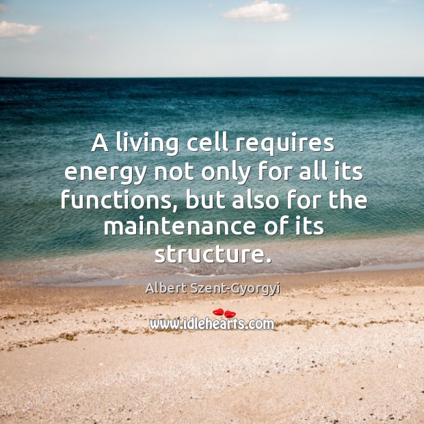 A living cell requires energy not only for all its functions, but also for the maintenance of its structure. Albert Szent-Gyorgyi Picture Quote