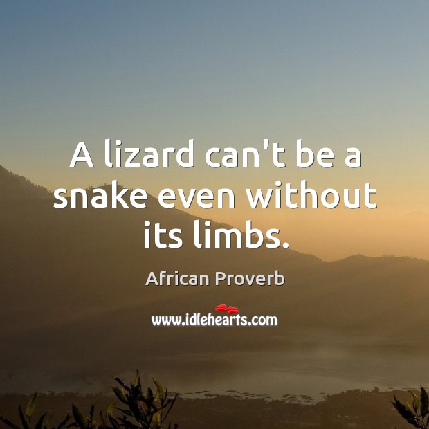 A lizard can’t be a snake even without its limbs. Image