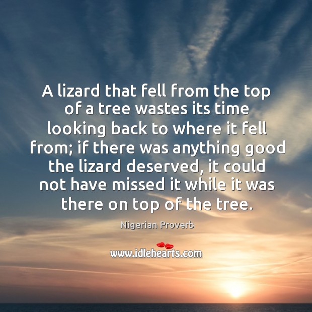 A lizard that fell from the top of a tree wastes its time looking Nigerian Proverbs Image