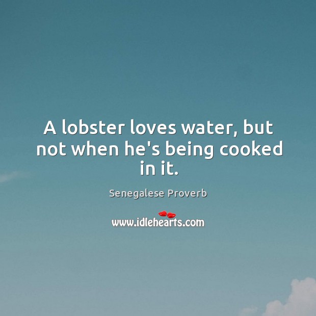 A lobster loves water, but not when he’s being cooked in it. Senegalese Proverbs Image
