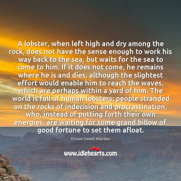 A lobster, when left high and dry among the rock, does not Orison Swett Marden Picture Quote