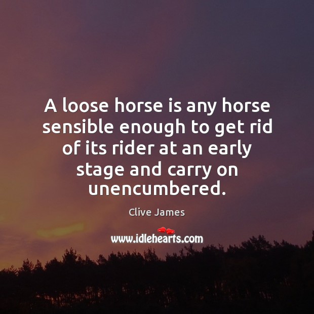 A loose horse is any horse sensible enough to get rid of 