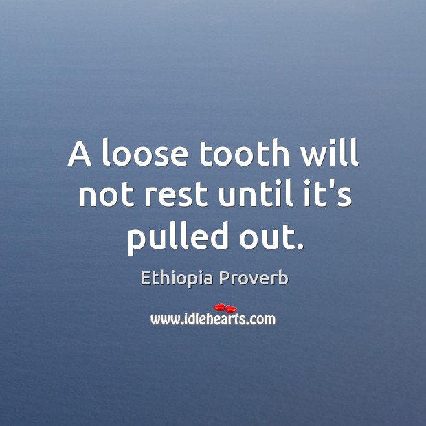 A loose tooth will not rest until it’s pulled out. Ethiopia Proverbs Image