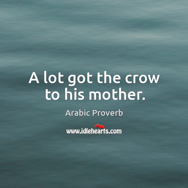 A lot got the crow to his mother. Image