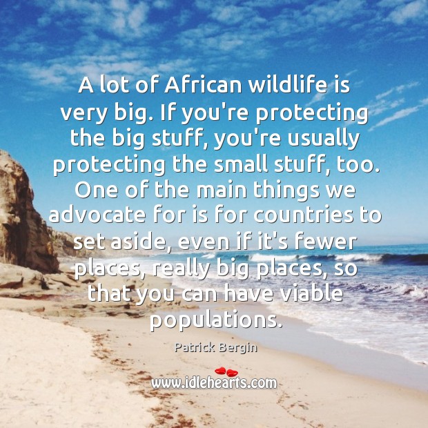 A lot of African wildlife is very big. If you’re protecting the Patrick Bergin Picture Quote