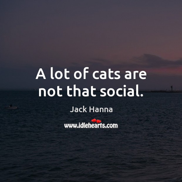 A lot of cats are not that social. Image
