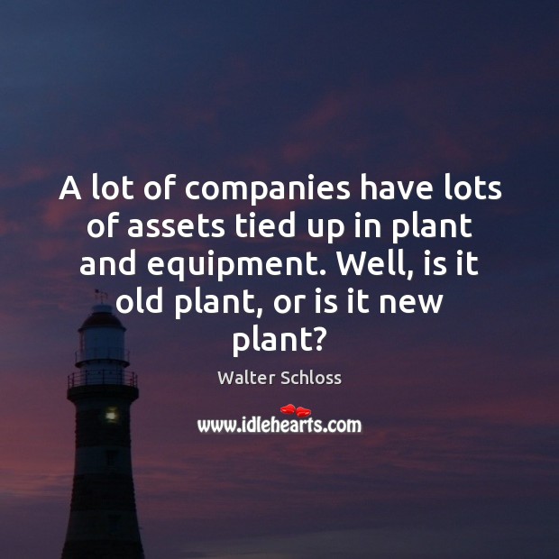 A lot of companies have lots of assets tied up in plant Walter Schloss Picture Quote