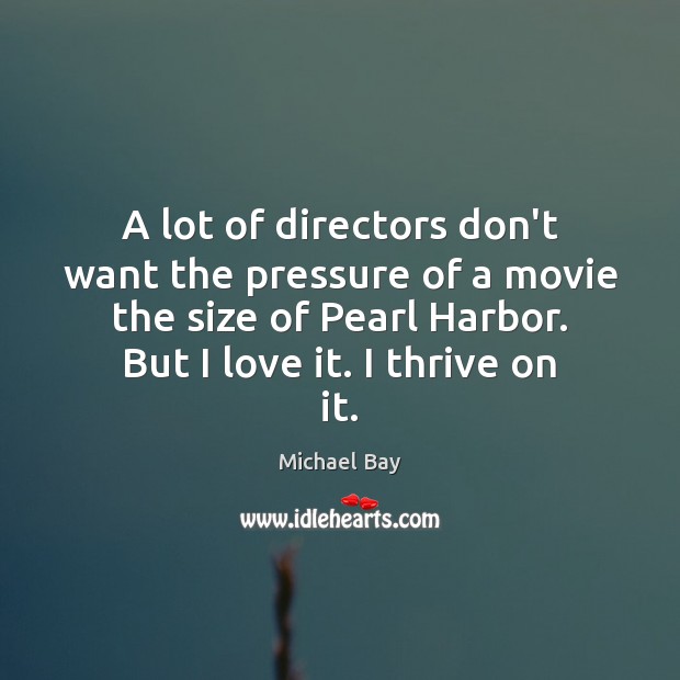 A lot of directors don’t want the pressure of a movie the Michael Bay Picture Quote
