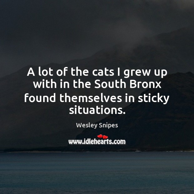 A lot of the cats I grew up with in the South Bronx found themselves in sticky situations. Wesley Snipes Picture Quote