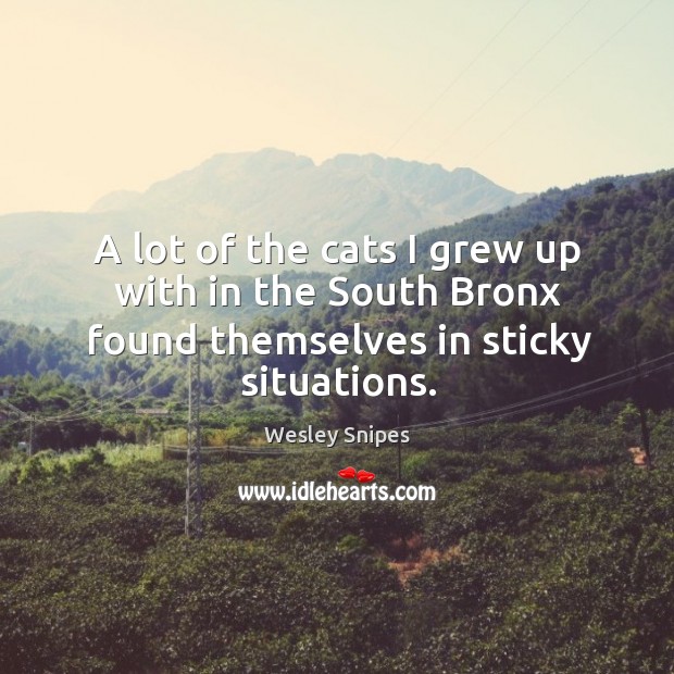 A lot of the cats I grew up with in the south bronx found themselves in sticky situations. Image