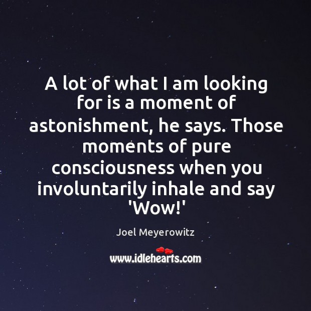 A lot of what I am looking for is a moment of Joel Meyerowitz Picture Quote