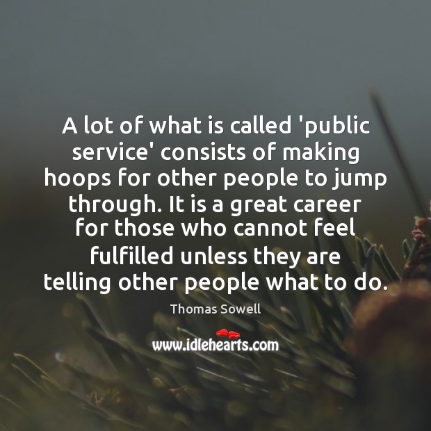 A lot of what is called ‘public service’ consists of making hoops Thomas Sowell Picture Quote