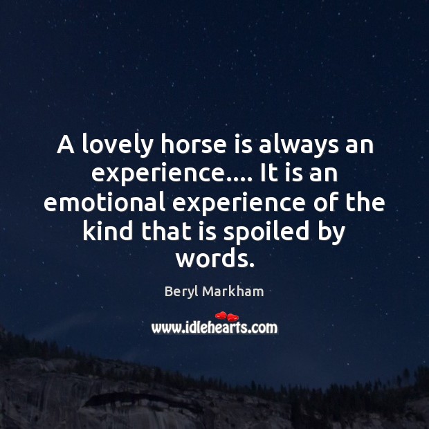 A lovely horse is always an experience…. It is an emotional experience Image