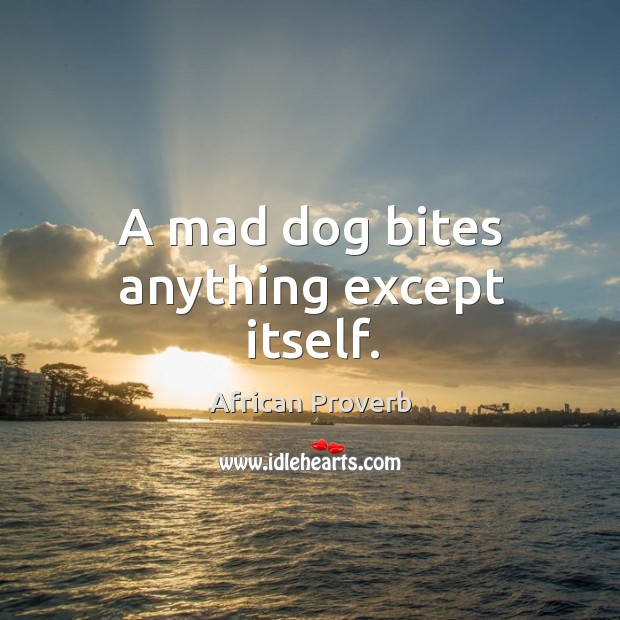 A mad dog bites anything except itself. African Proverbs Image