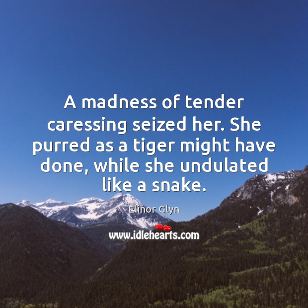 A madness of tender caressing seized her. She purred as a tiger Elinor Glyn Picture Quote