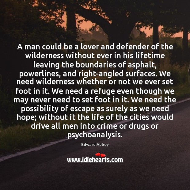 A man could be a lover and defender of the wilderness without Edward Abbey Picture Quote