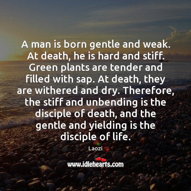 A man is born gentle and weak. At death, he is hard Laozi Picture Quote