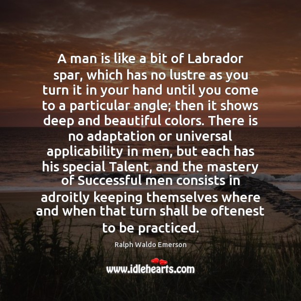 A man is like a bit of Labrador spar, which has no Men Quotes Image