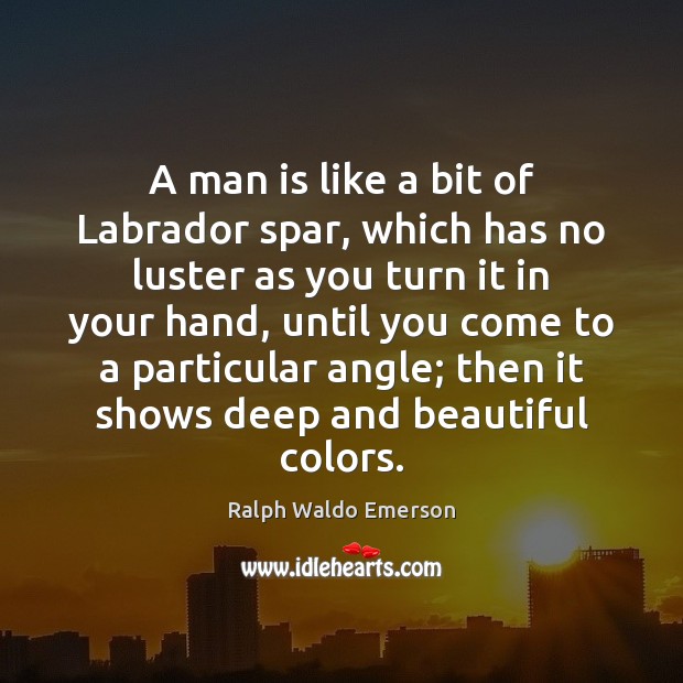 A man is like a bit of Labrador spar, which has no Image