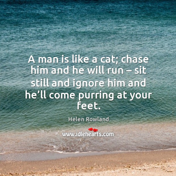 A man is like a cat; chase him and he will run – sit still and ignore him and he’ll come purring at your feet. Image
