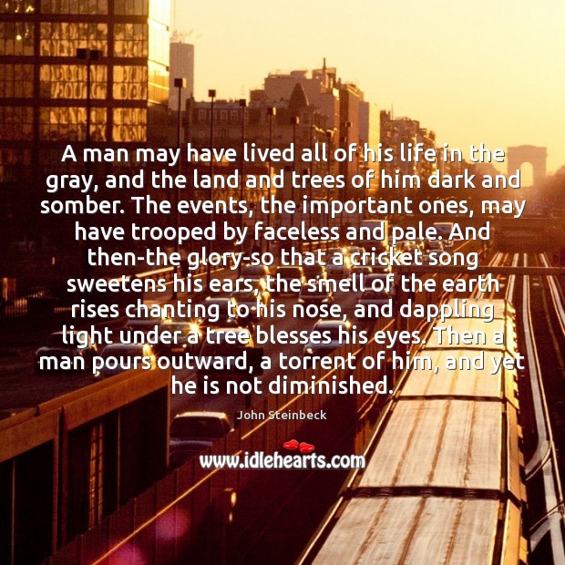A man may have lived all of his life in the gray, John Steinbeck Picture Quote