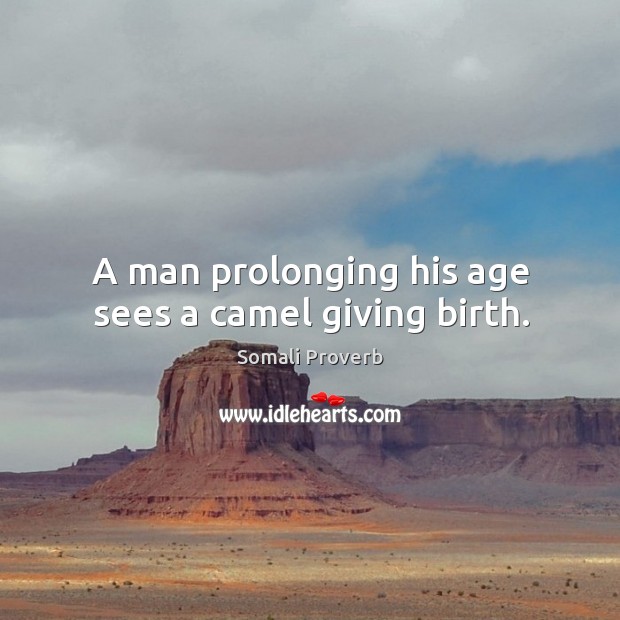 A man prolonging his age sees a camel giving birth. Somali Proverbs Image