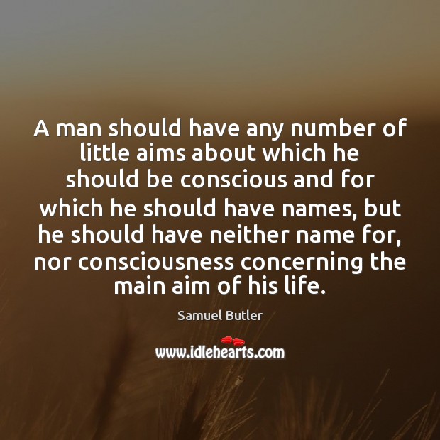 A man should have any number of little aims about which he Samuel Butler Picture Quote
