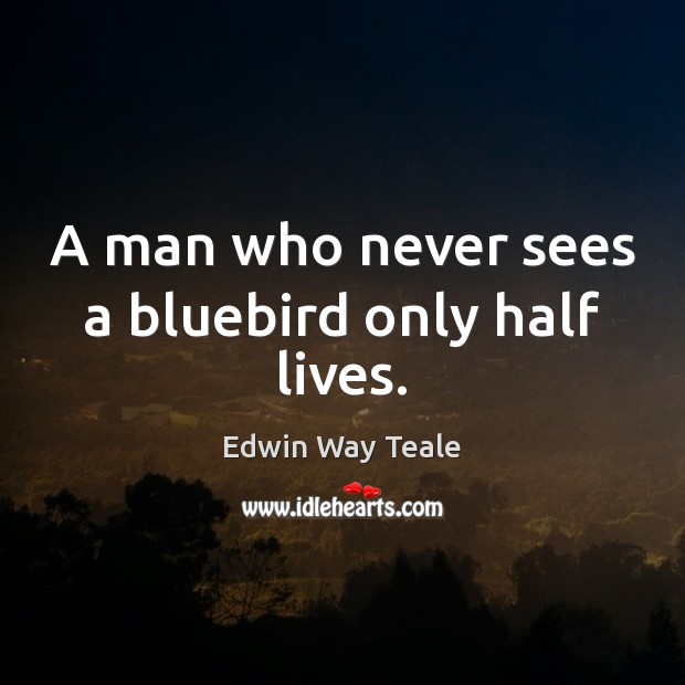 A man who never sees a bluebird only half lives. Edwin Way Teale Picture Quote