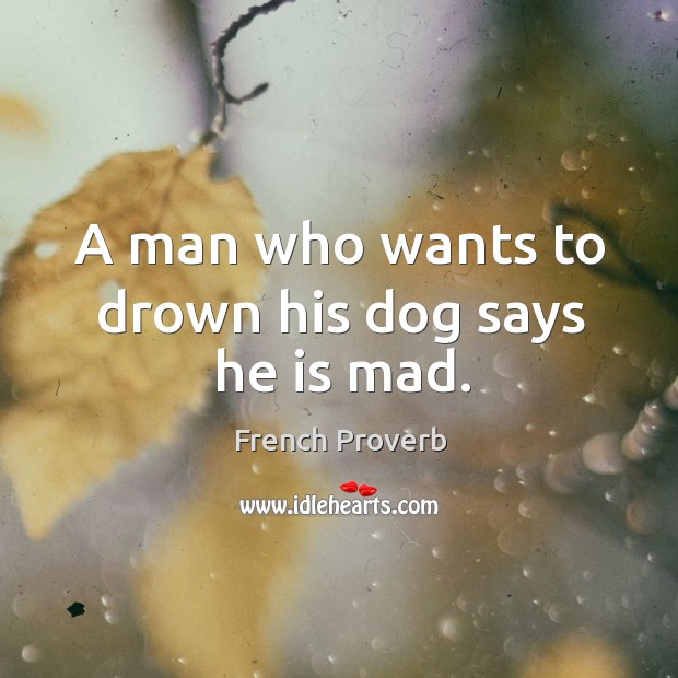 A man who wants to drown his dog says he is mad. French Proverbs Image