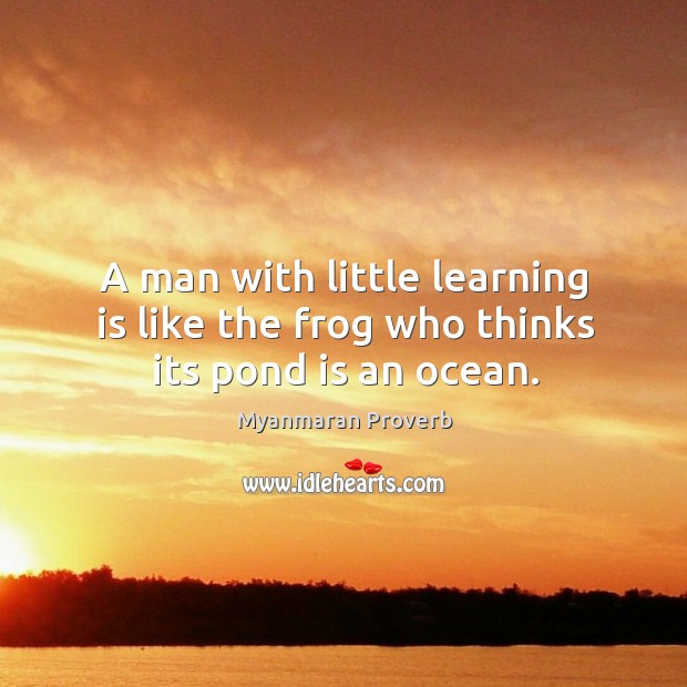 A man with little learning is like the frog who thinks its pond is an ocean. Myanmaran Proverbs Image