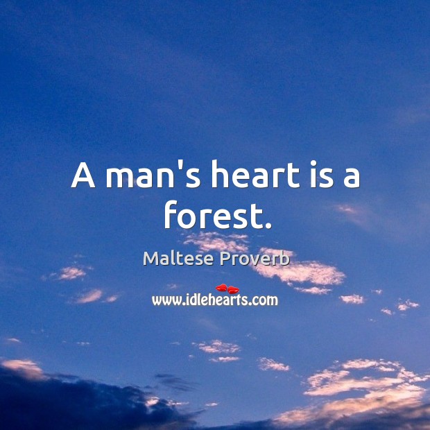 A man’s heart is a forest. Image