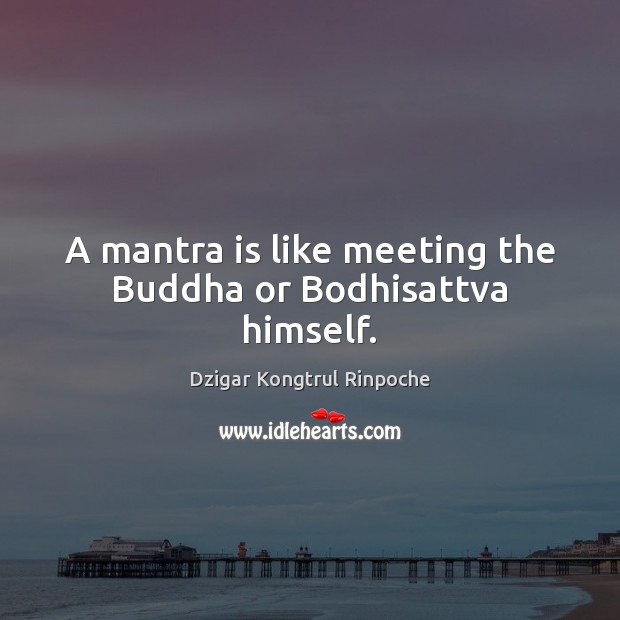 A mantra is like meeting the Buddha or Bodhisattva himself. Dzigar Kongtrul Rinpoche Picture Quote