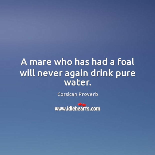 A mare who has had a foal will never again drink pure water. Corsican Proverbs Image