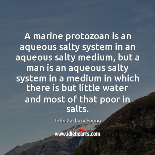 A marine protozoan is an aqueous salty system in an aqueous salty John Zachary Young Picture Quote