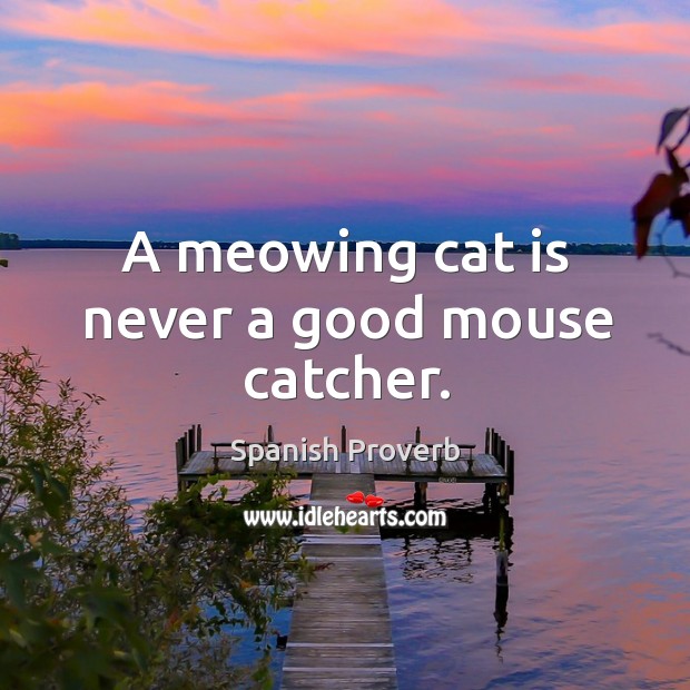 A meowing cat is never a good mouse catcher. Image
