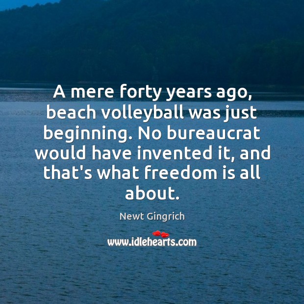 A mere forty years ago, beach volleyball was just beginning. No bureaucrat Newt Gingrich Picture Quote