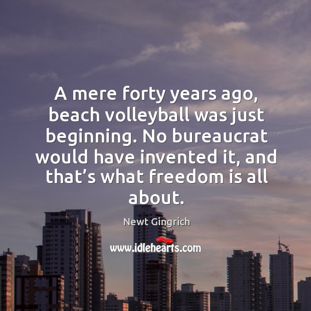 A mere forty years ago, beach volleyball was just beginning. No bureaucrat would have invented it Image