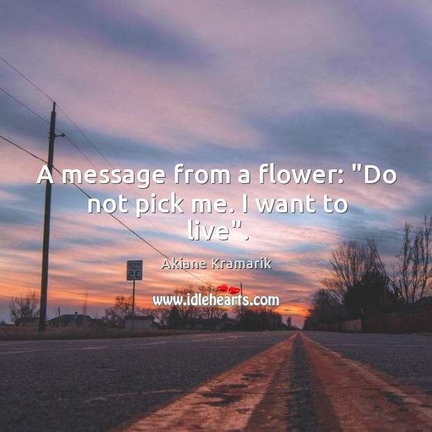 A message from a flower: “Do not pick me. I want to live”. Image