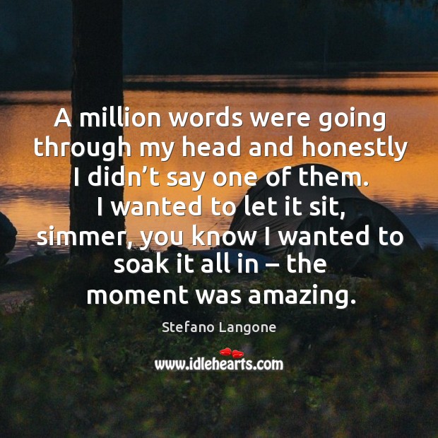 A million words were going through my head and honestly I didn’t say one of them. Stefano Langone Picture Quote